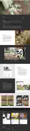 IQ Agency